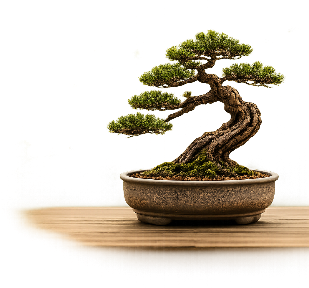 Bonsai in einer flachen Schale